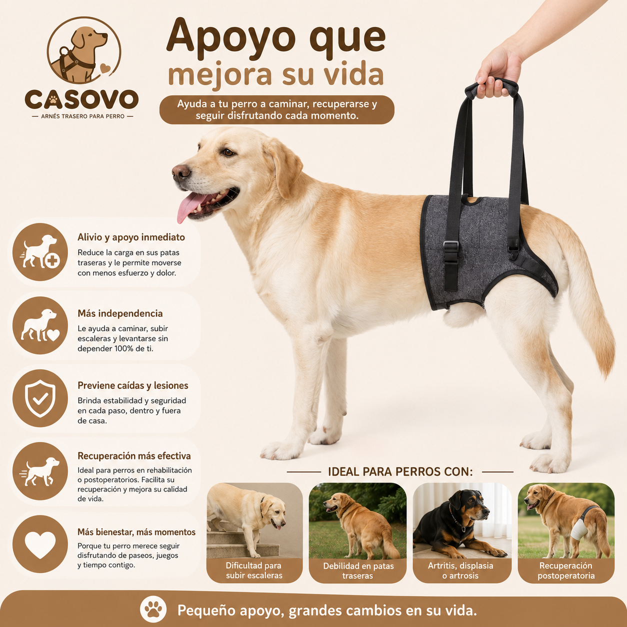 Arnés de ayuda trasero para perros