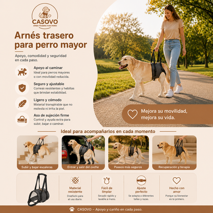 Arnés de ayuda trasero para perros